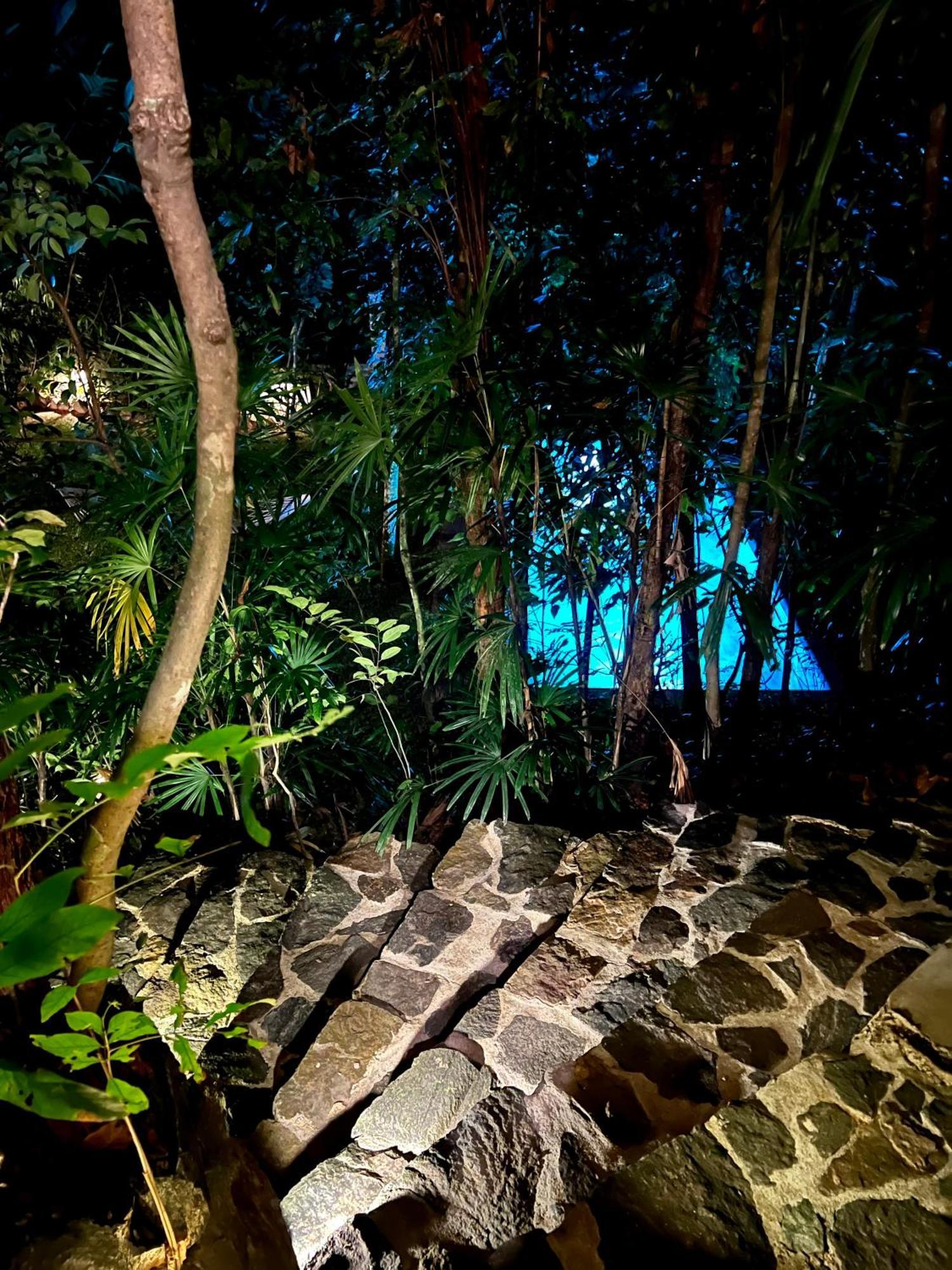 Ceylon Olive Galle Extérieur photo
